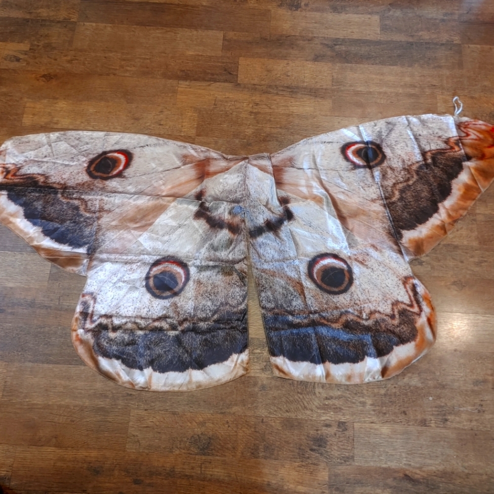 Moth Costume halloween